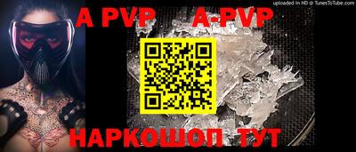 скорость Кингисепп