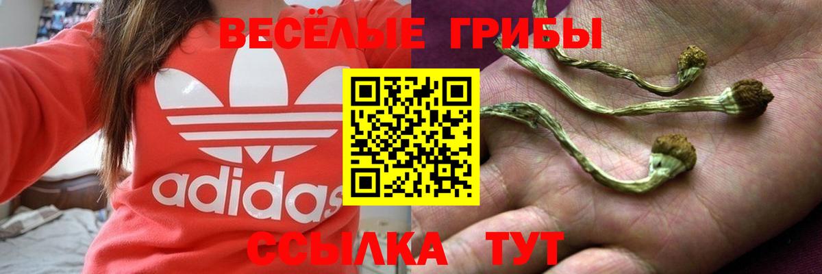 Псилоцибиновые грибы Cubensis Югорск